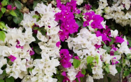 588085 (a): :2560x1600